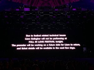 Scandal la Fall In Love Festival duminică seara. Liam Gallagher nu a mai putut concerta din cauza unor probleme tehnice, deși venise în România