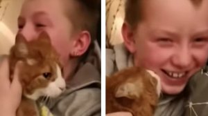 Băiețelul își pierduse pisica în urmă cu șapte luni și suferea cumplit. Într-o zi, a regăsit-o, iar reîntâlnirea a fost emoționantă (VIDEO) 