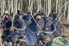 Alertă în Europa! Migranții veniți din Belarus au rupt gardul de la granița cu Polonia și au pătruns în țară 735309