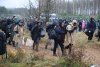 Alertă în Europa! Migranții veniți din Belarus au rupt gardul de la granița cu Polonia și au pătruns în țară 735312