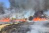Incendiu puternic în Delta Văcărești. 15.000 de metri pătrați au ars 759986
