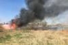 Incendiu puternic în Delta Văcărești. 15.000 de metri pătrați au ars 759989