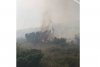 Arde Muntele Găina! | Pompierii încercă să evite un dezastru ecologic 780674