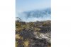 Arde Muntele Găina! | Pompierii încercă să evite un dezastru ecologic 780675