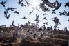 Imagini cutremurătoare din Turcia. Trei oraşe au fost transformate în cimitire | Oamenii sunt îngropaţi în saci, în gropi comune 816385