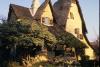 Cum arată "Casa Vrăjitoarei", devenită celebră pe internet după ce proprietarul a arătat interiorul spectaculos. Este inspirată din Hansel și Gretel și se află în Beverly Hills 824296