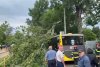 Un copac a căzut peste un autobuz în București. Pompierii intervin la fața locului 835181