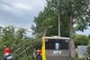 Un copac a căzut peste un autobuz în București. Pompierii intervin la fața locului 835182