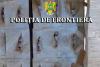 Țigări în valoare de 2,3 milioane de euro, transportate ilegal într-un TIR, prin Vama Giurgiu. Ce ar fi trebuit să ducă, de fapt, șoferul bulgar 839818