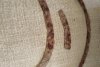 "Unii cred că se scot monedele din pământ precum cartofii" | Colecţia impresionantă de obiecte a unui căutător de comori din Zalău. Recompensa pe care ar putea să o primească 855043