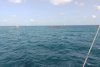 Navă în pericol de scufundare în rada exterioară a Portului Constanța | Sunt opt persoane la bord 855375