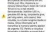 Mesaj Ro-Alert! O fată de 14 ani şi un copil de doi ani, dispăruți din Chitila. Dacă o vedeţi, sunaţi la 112! 856407