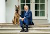 Ce soartă îl așteaptă pe Commander, câinele lui Joe Biden, după ce a mușcat a 11-a oară un agent Secret Service 860289