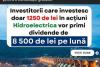 Hidroelectrica atenţionează românii asupra unor tentative de fraudare a micilor investitori. Şapte moduri în care te poţi feri de escroci 862035