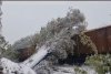Fenomen meteo rar în România: Furtună de zăpadă cu tunete și fulgere în mai multe județe din țară 871794