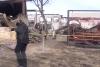 Imagini din interiorul pensiunii "Ferma Dacilor", după incendiul devastator. Jurnaliștii Antena 3 CNN, investigație în locul în care au murit opt oameni: "Focul ardea în două părți" 881829