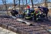 Incendiu la Grădina Zoologică din Râmnicu Vâlcea. A luat foc acoperişul pavilionului unde sunt maimuţele 883269