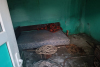 Minor exploatat prin muncă și ținut într-o cușcă de proprietarul unei stâne din Brașov | Procurorii DIICOT fac percheziții 895401