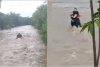 Presa italiană: Cine sunt cei trei tineri dintr-o maşină de România, luaţi de apele fluviului Natisone 905204