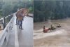 Presa italiană: Cine sunt cei trei tineri dintr-o maşină de România, luaţi de apele fluviului Natisone 905215