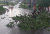 Imagini cu dezastrul lăsat în urmă de Codul roșu de furtuni: Acoperișuri luate de vânt, gospodării inundate, copaci rupți și trenuri blocate 906894