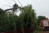Imagini cu dezastrul lăsat în urmă de Codul roșu de furtuni: Acoperișuri luate de vânt, gospodării inundate, copaci rupți și trenuri blocate 906895