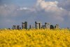 Stonehenge ar putea intra pe lista patrimoniului UNESCO în pericol. Celebrul sit preistoric este amenințat de un tunel rutier 909489