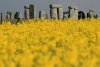 Stonehenge ar putea intra pe lista patrimoniului UNESCO în pericol. Celebrul sit preistoric este amenințat de un tunel rutier 909490