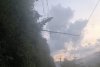 VIDEO Maramureșul, devastat de furtuni: Un bărbat a murit lovit de fulger. O pădure a fost doborâtă de vânt 910528