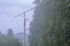 VIDEO Maramureșul, devastat de furtuni: Un bărbat a murit lovit de fulger. O pădure a fost doborâtă de vânt 910530