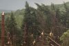 VIDEO Maramureșul, devastat de furtuni: Un bărbat a murit lovit de fulger. O pădure a fost doborâtă de vânt 910534