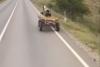 Un bărbat a pus viața mai multor șoferi în pericol: Circula haotic cu căruța, pe un drum național din Târgoviște 914247