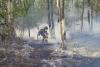  Incendiu masiv în Giurgiu. 40 de hectare din zona pădurii Bălănoaia au ars. Pompierii au fost chemați din timpul liber 915791