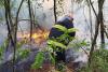  Incendiu masiv în Giurgiu. 40 de hectare din zona pădurii Bălănoaia au ars. Pompierii au fost chemați din timpul liber 915793