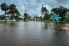 Străzile din Florida s-au transformat în râuri după uraganul Debby, oamenii au scos bărcile. Temeri că inundațiile vor fi catastrofale 916228