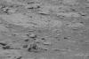 „Ancora” de pe Marte. Roca ciudată surprinsă de roverul Curiosity al NASA 924572