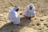 Descoperire arheologică bizară în deșertul Qatar: Ce reprezintă simbolurile misterioase din Al Jassasiya: „Sunt unice în lume” 930443